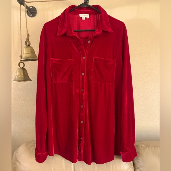 Umgee Tops - umgee Ted velvet shirt. NEW WITHOUT TAGS